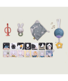 Taf Toys poklon set za uspavljivanje bebe 12 elemenata 22114091