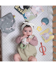 Taf Toys poklon set za uspavljivanje bebe 12 elemenata 22114091