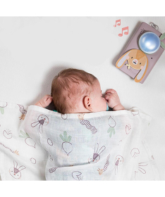 Taf Toys set za umirivanje muzički zeka i prekrivač 22114117